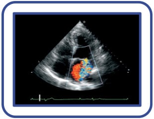 Enterprise Imaging Radiology